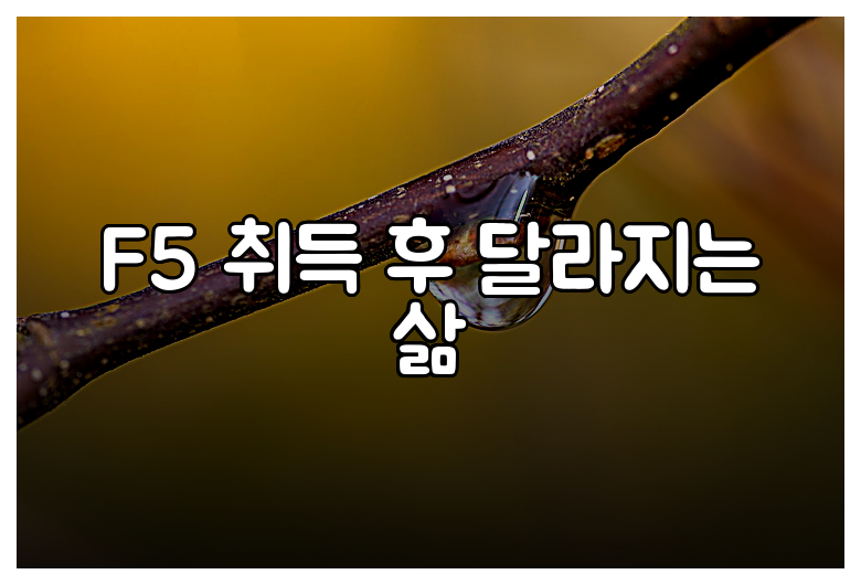 F5 취득 후 달라지는 삶