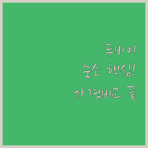 두바이 가족 여행 숙소 고민 끝 위치..