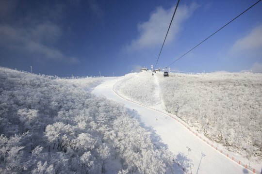 하이원 리조트 스키장