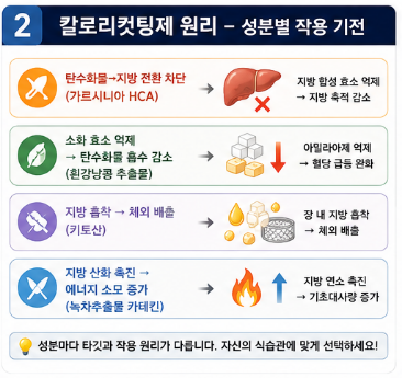 칼로리컷팅제-효과-원리-부작용-내돈내산-순위-추천
