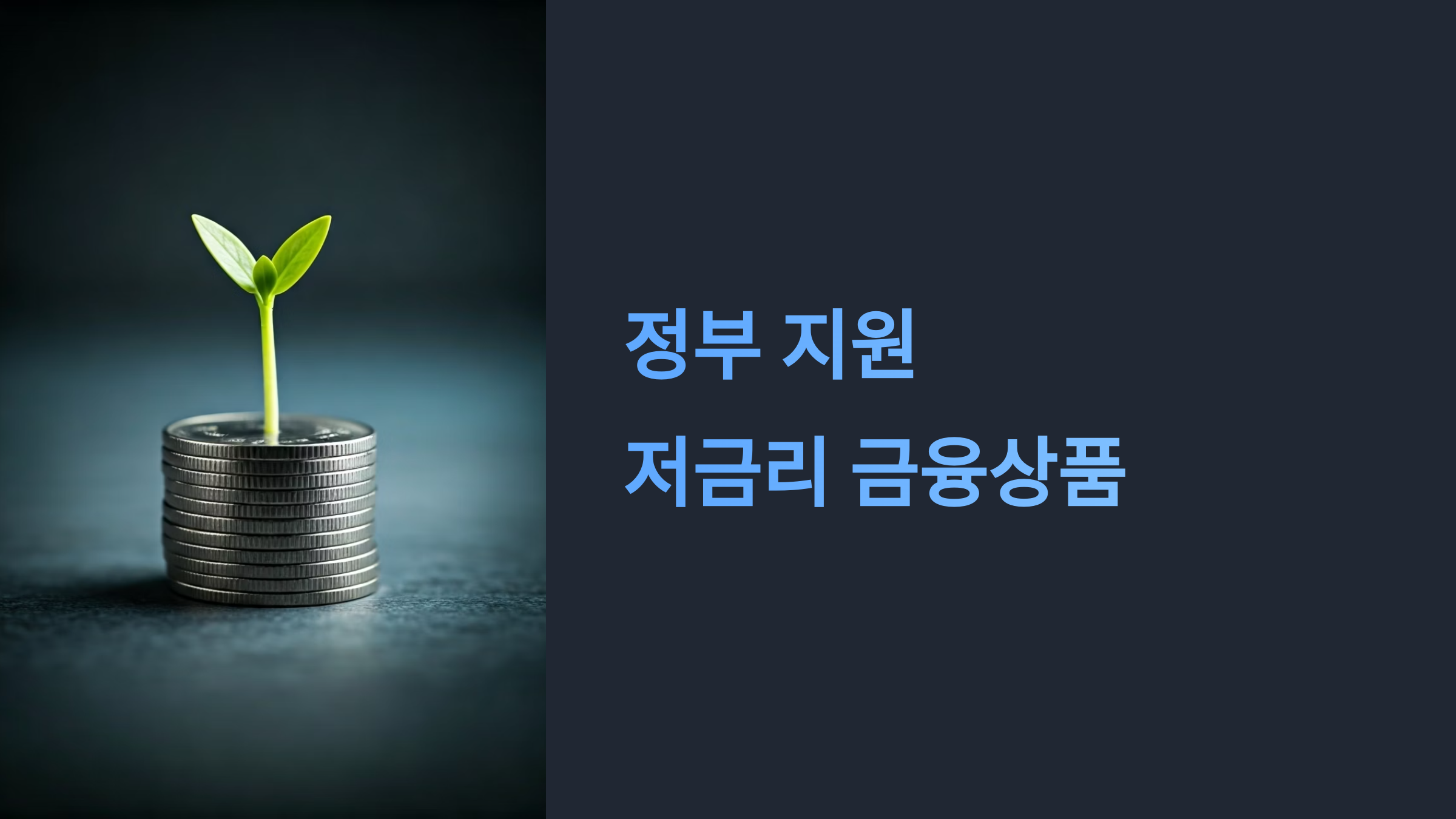 정부지원 저금리 금융상품