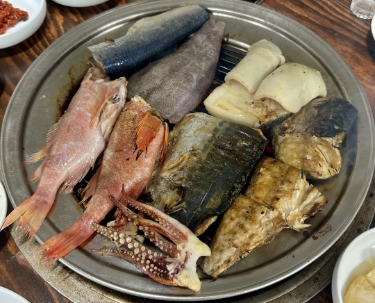 강원 속초 생선구이 맛집, 88생선구이