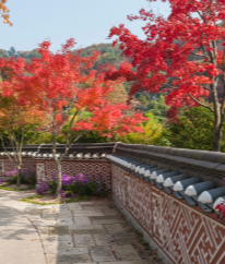 화담숲 예약