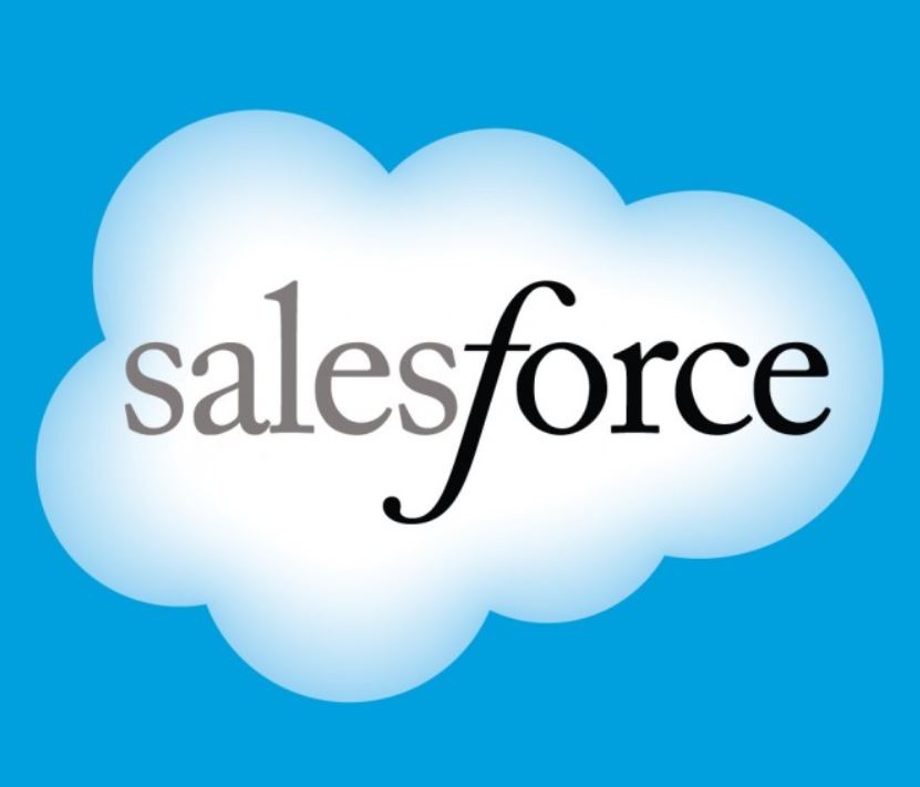 세이즈포스,닷컴 로고 이미지