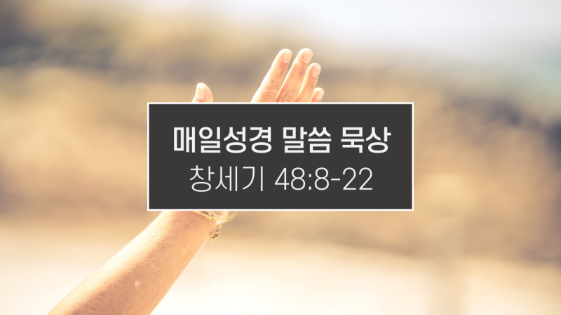 썸네일-하늘을-향해-손을-뻗은-이미지