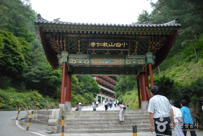 구인사1