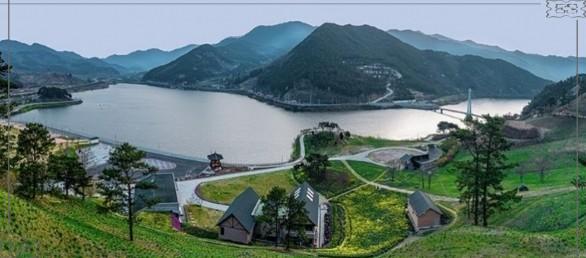 🌼 2026 전국 수선화 명소 3선: "바다, 초원, 섬이 빚어낸 노란 낙원"