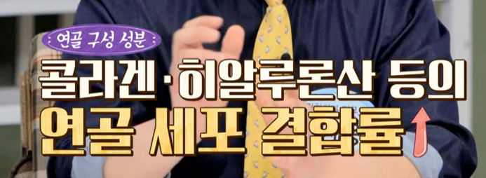 콘드로이친 효능