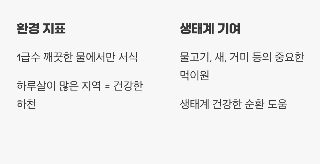 자연의 소중한 선물