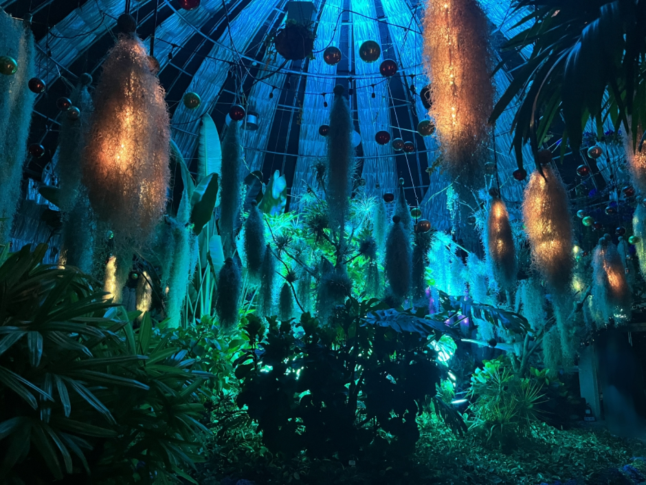 10월 지역 축제 가을 축제