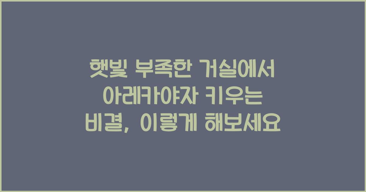 햇빛 부족한 거실에서 아레카야자 키우는 비결