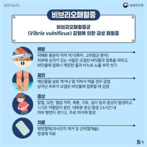 비브리오패혈증 사망자 올해 첫 발생: 치사율 50% 예방법과 고위험군 주의사항 총정리