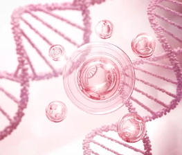 저분자 콜라겐/출처:어도비스톡