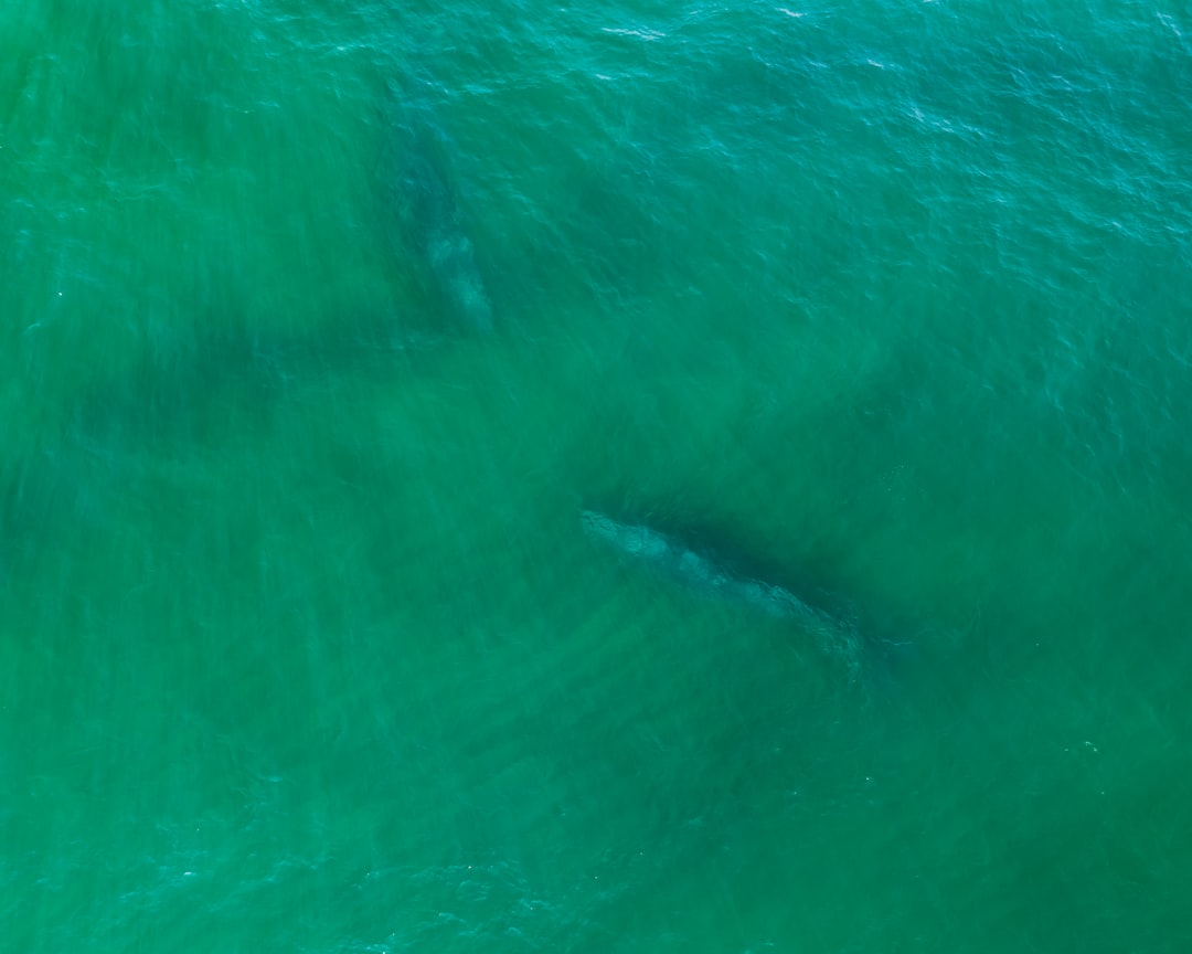 Breach