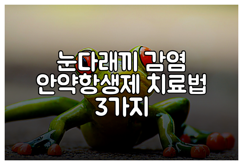 눈다래끼 감염 안약항생제 치료법 3가지