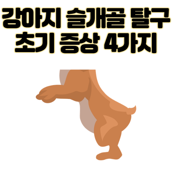 강아지 슬개골 탈구 초기증상 4가지 집에서 확인하는 방법