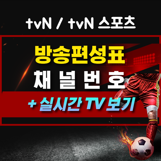tvN 스포츠 방송편성표, 채널번호