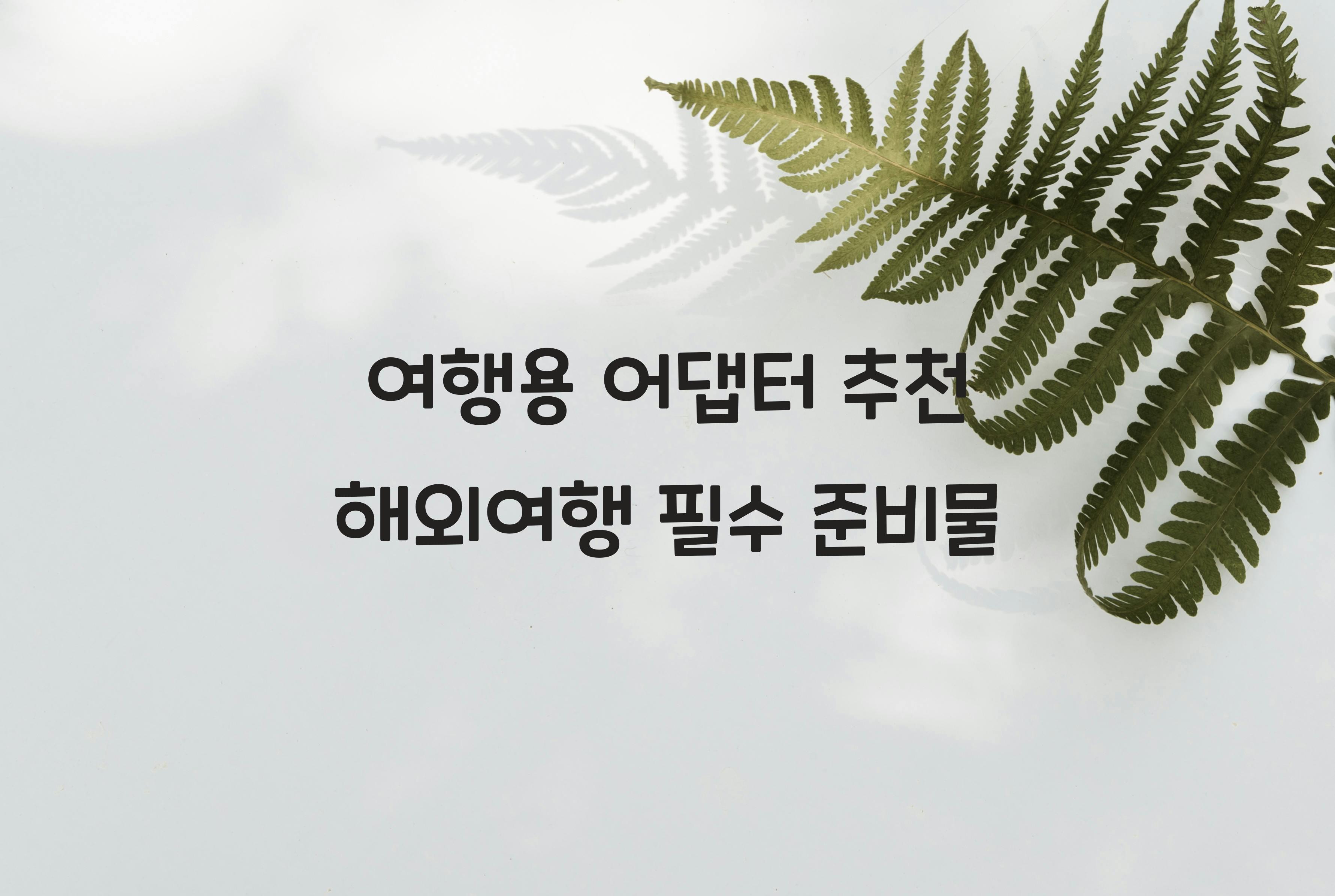 여행용 어댑터 추천