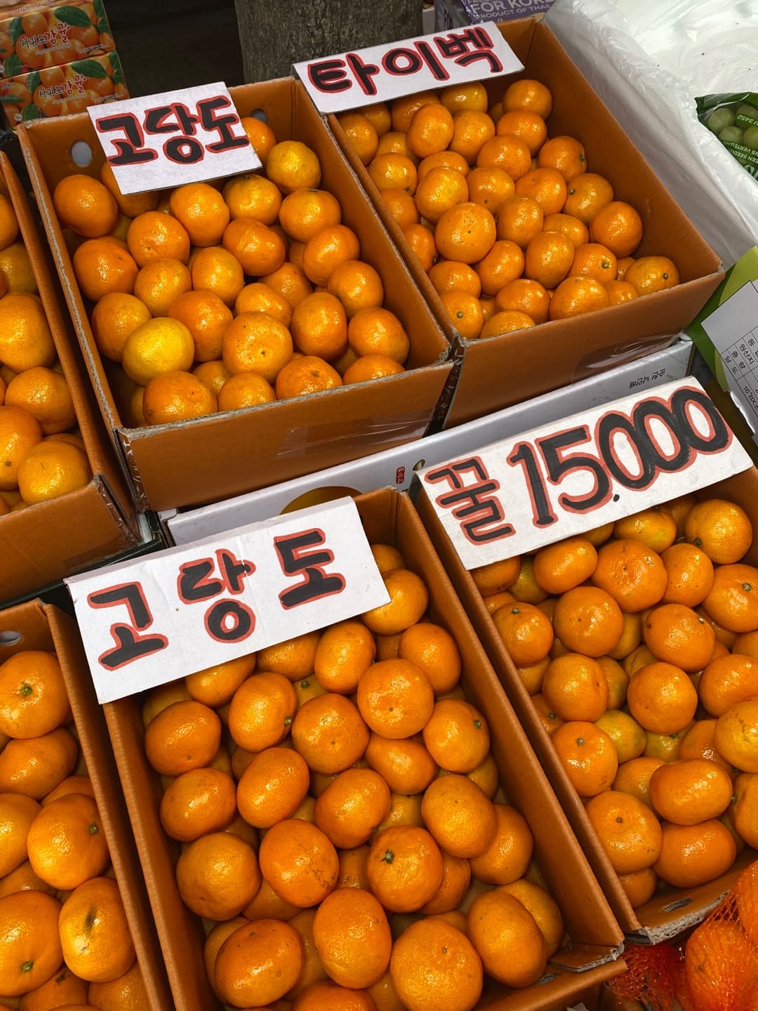 선물용 과일