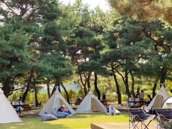 렛츠런파크 벚꽃축제 야경