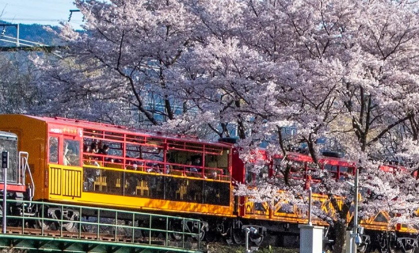 아라시야마 사가노 토롯코