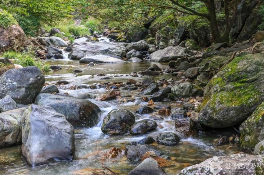 양평 가볼만한곳 베스트 10