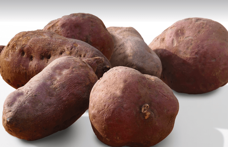 탄수화물이 많은 음식 - 115