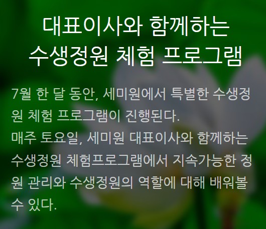 특별프로그램