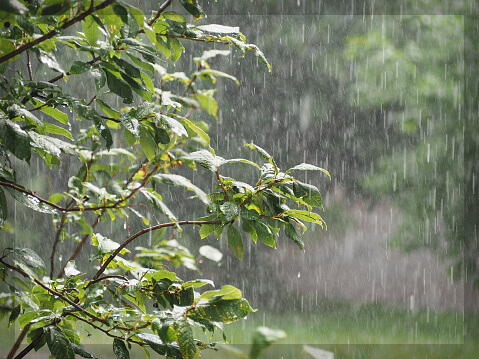 2024년 장마 기간 및 준비 사항