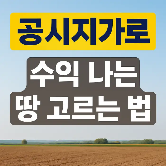 공시지가로 수익 나는 땅 고르는 법