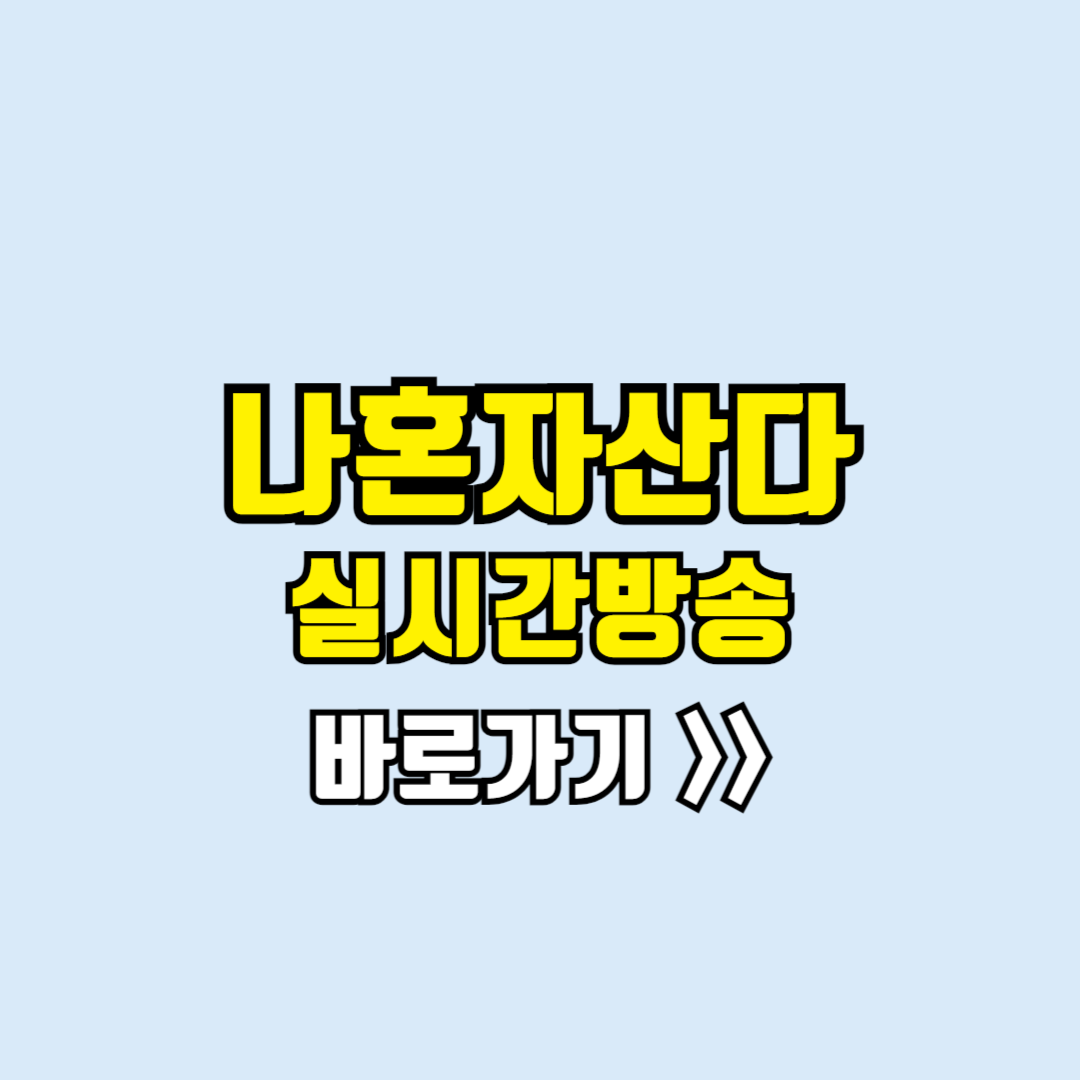 나혼자산다 실시간방송