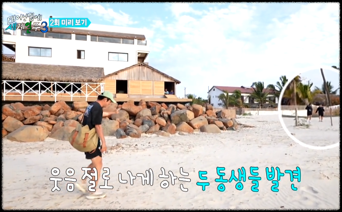 태계일주 시즌3
