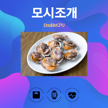 모시조개 알아보기