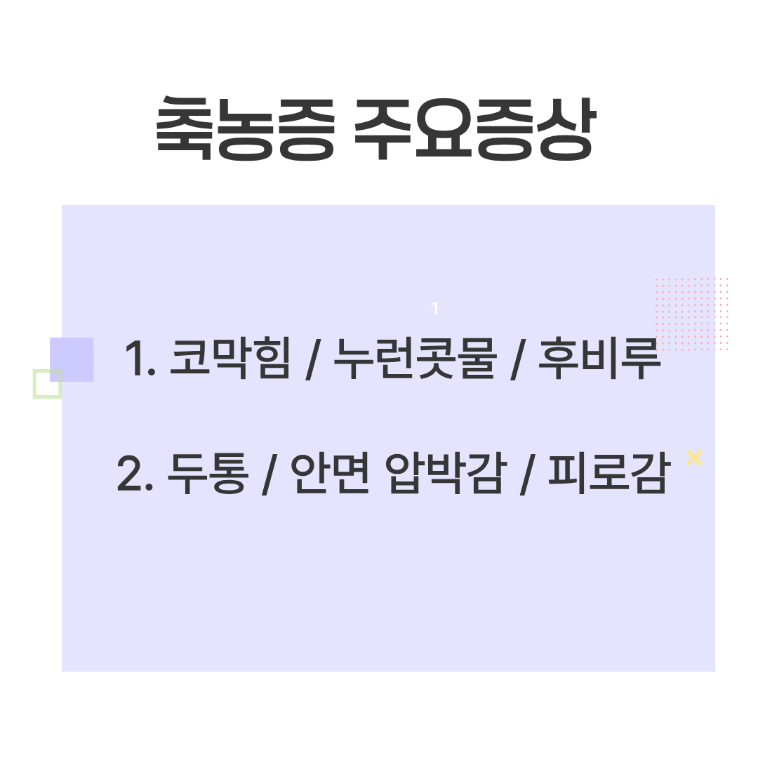 축농증 주요 증상