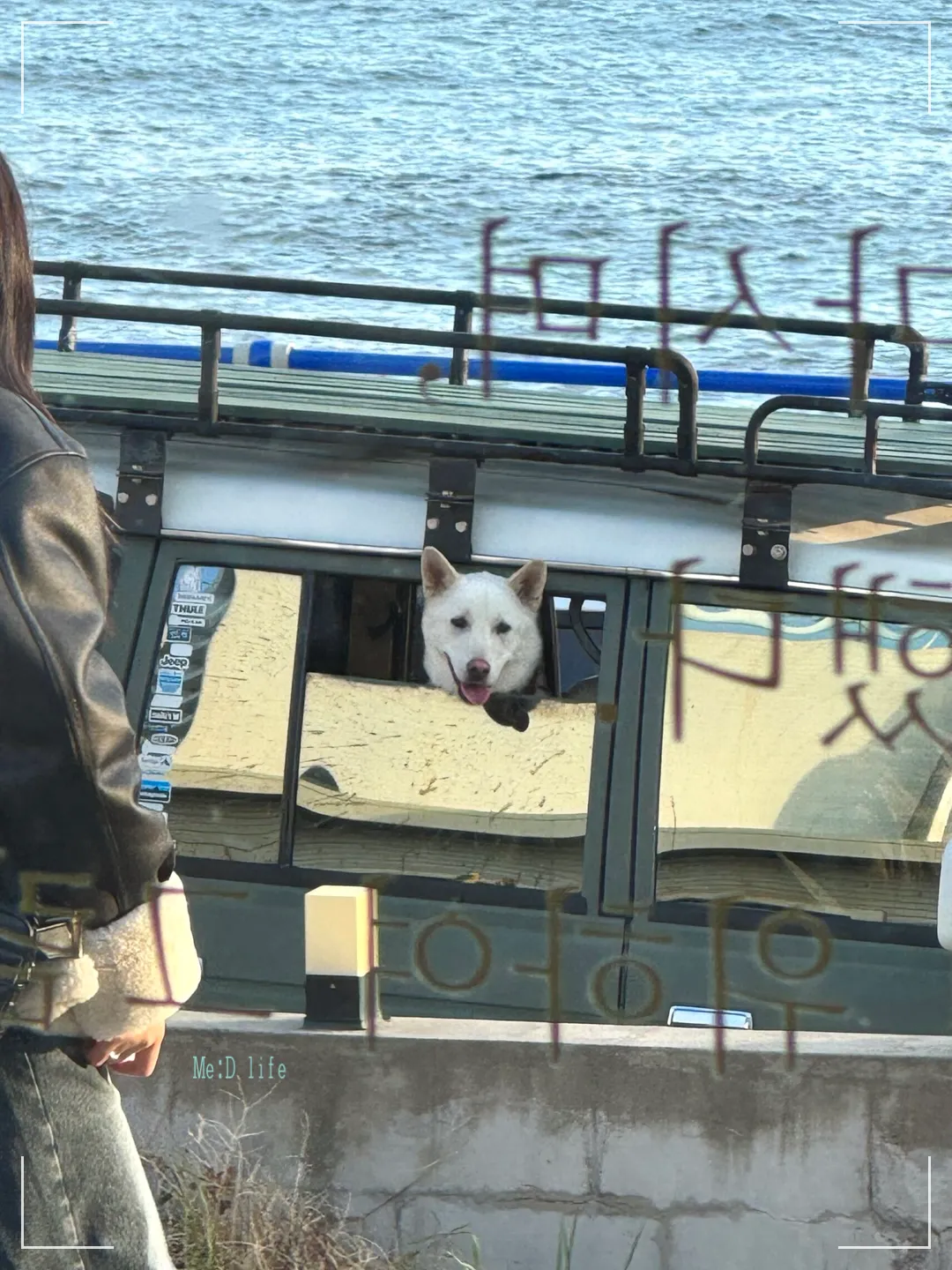 부산-기장-아난티-덕미-카페-크리스마스-디저트-바다뷰-통창-강아지-진돗개