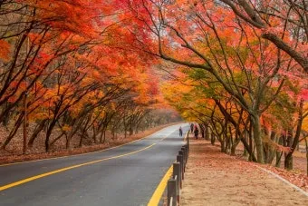 가을 단풍여행 베스트 명소 시니어 추천 코스 완벽 가이드_22