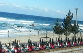 가을 바다 열차 여행 추천