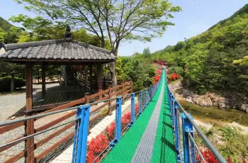 장령산 자연휴양림_9