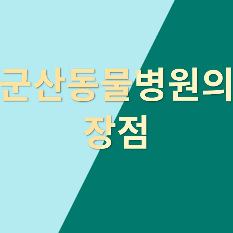 반려견 장례식장_2