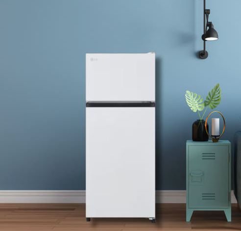 삼성 VS LG 1인 냉장고 비교 관련 사진