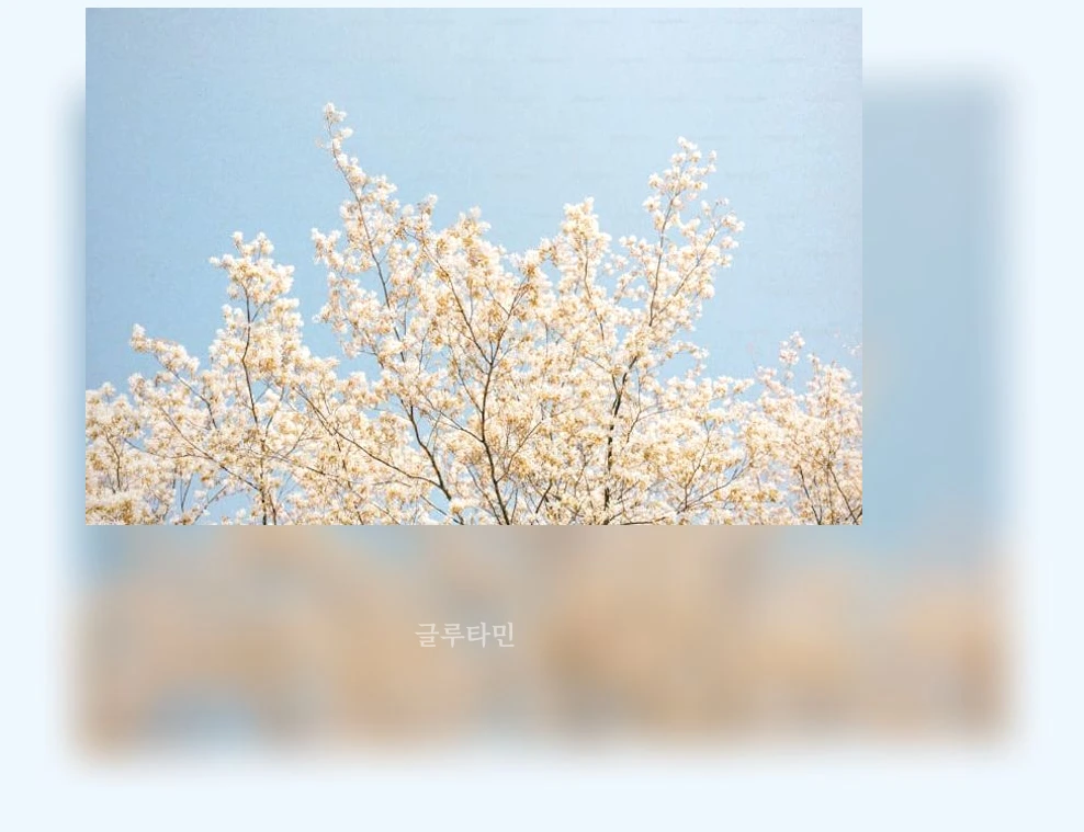경주 겹벚꽃 명소_2_subsection