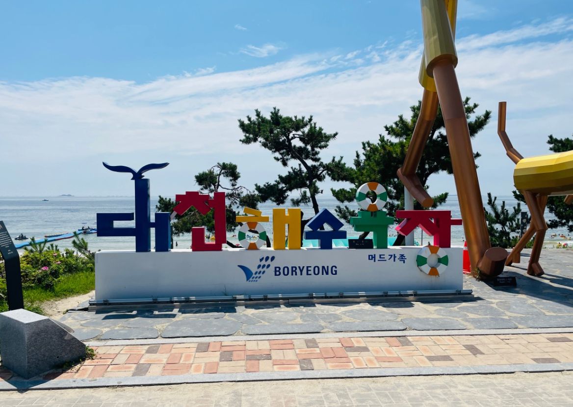 대천해수욕장 & 머드축제