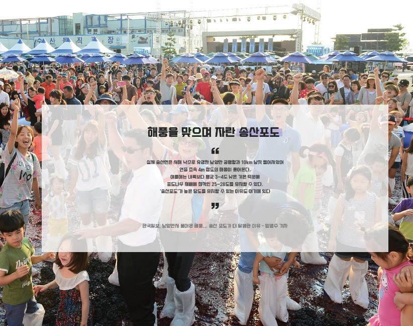송산 포도 축제 소개