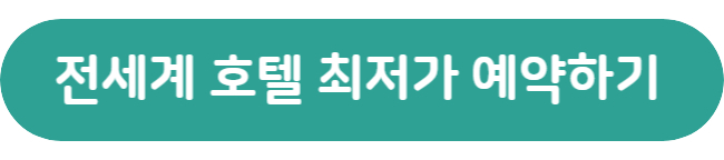 구글-호텔-예약-홈페이지로-이동하는-버튼