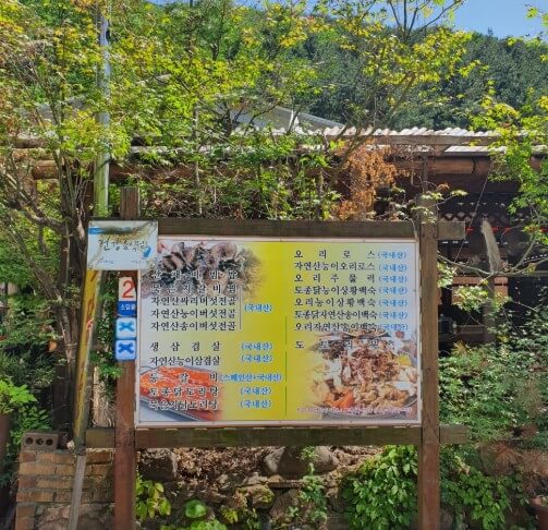 오늘N식큐멘터리