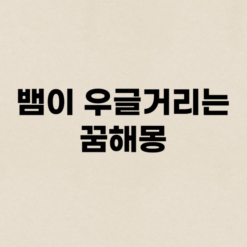 뱀이 우글거리는 꿈해몽