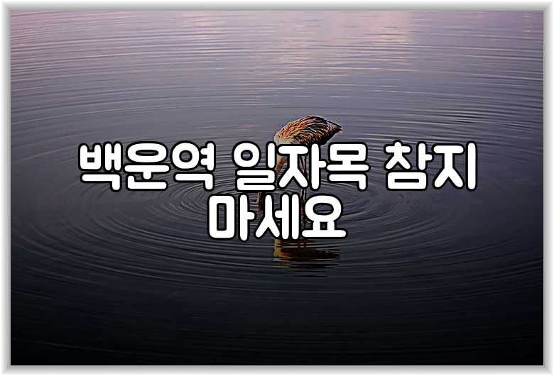 백운역 일자목 참지 마세요