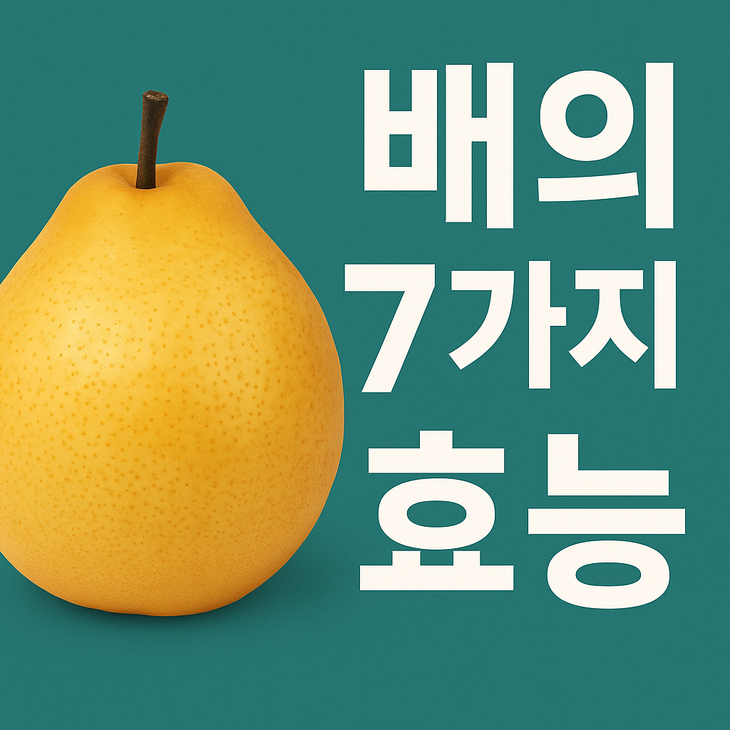 배효능, 중년건강, 기관지건강, 다이어트과일, 혈압조절