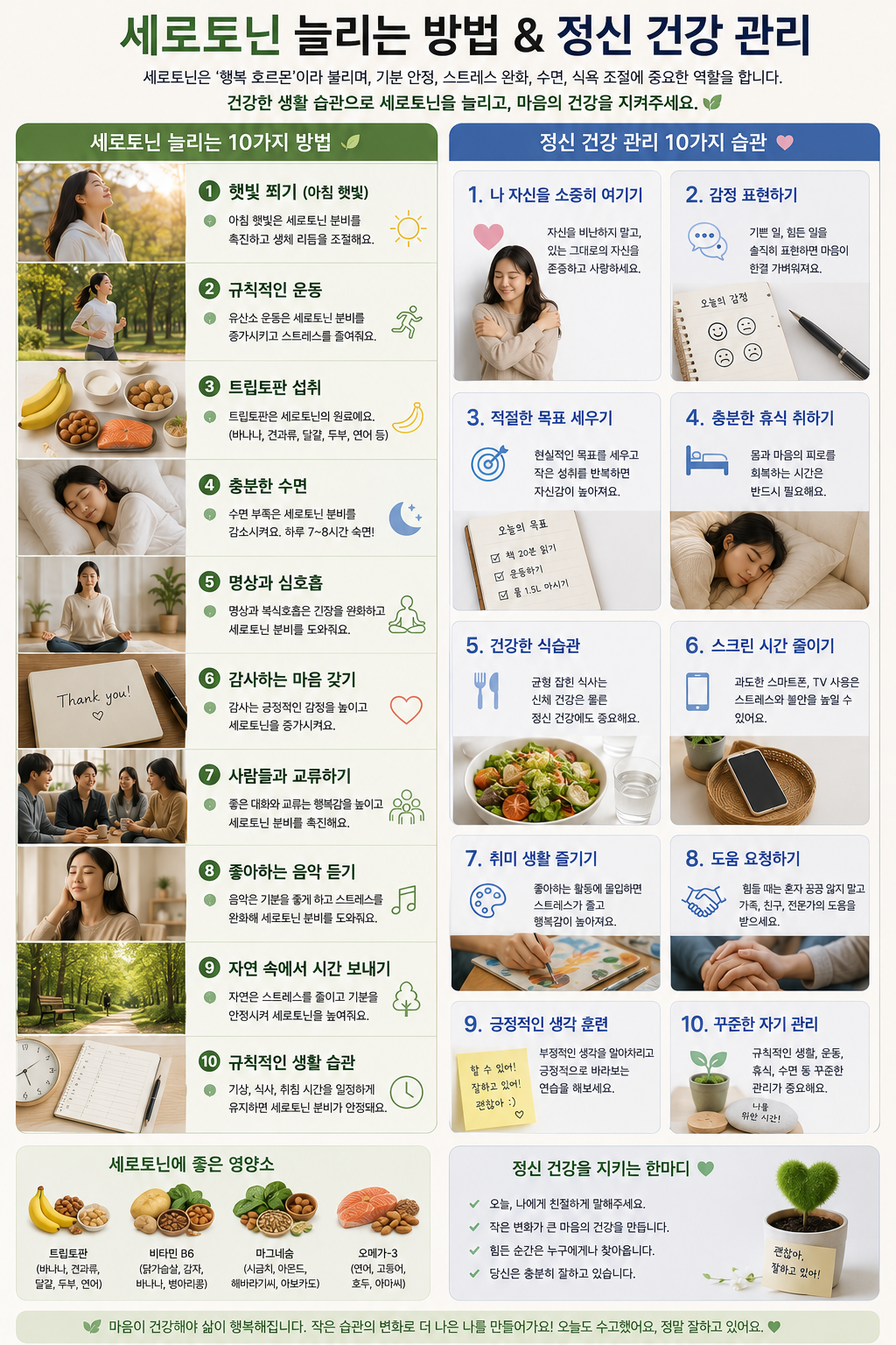 세로토닌 늘리는 방법과 정신 건강 관리