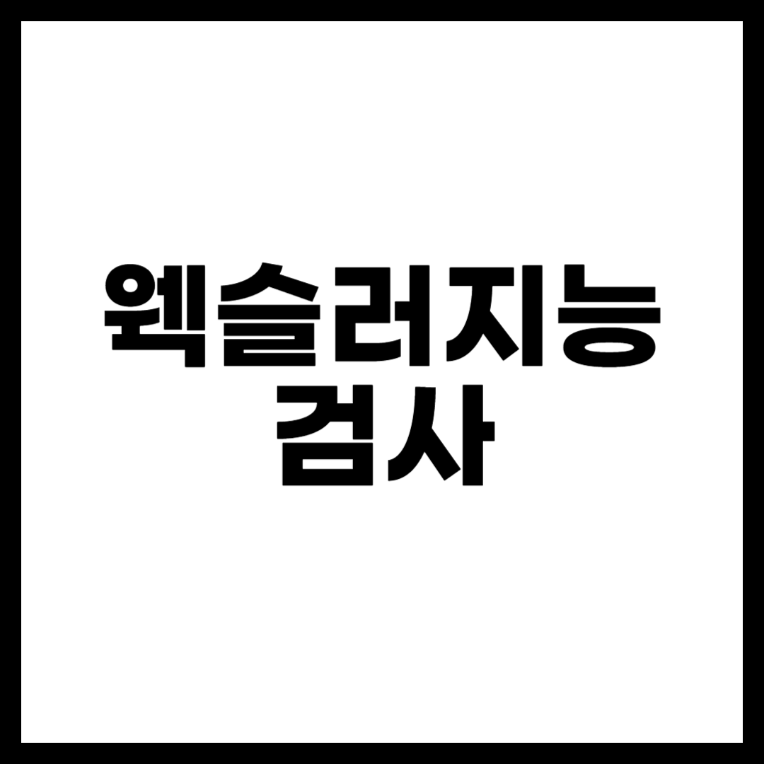 웩슬러지능검사